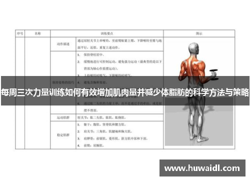 每周三次力量训练如何有效增加肌肉量并减少体脂肪的科学方法与策略