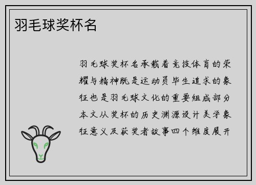 羽毛球奖杯名